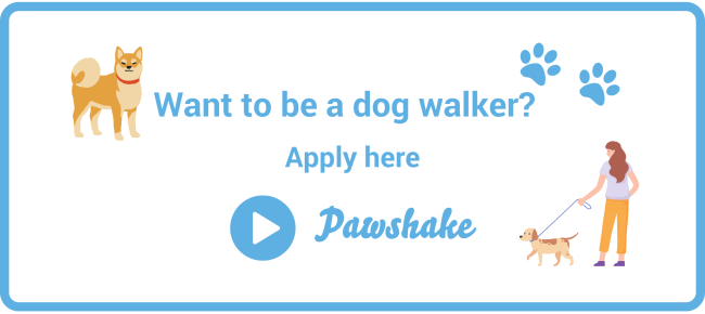 Dog walking job guide for beginners